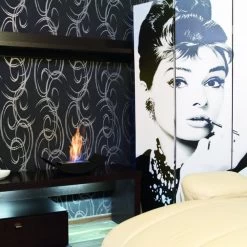 Ethanol-Kamin Kratki BIOMISA MINI -Default Template ethanol kamin kratki biomisa mini milieujpg 6 140509