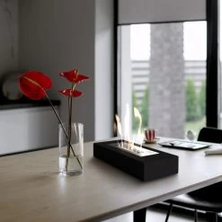 Ethanol-Kamin Kratki INDIA -Default Template ethanol kamin kratki india max milieujpg 7 139690